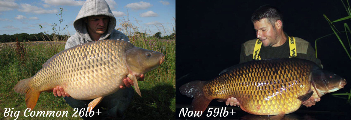 BigCommon